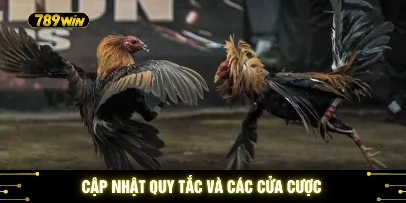 Cập nhật quy tắc và các cửa cược